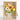 Elflos™ Phote Frame Decoration - Tulip Sunflower Shirley Poppy Myosotis  - 7 Flowers