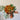 Elflos™ Bouquet - Sunflower - 6 Flowers Set