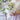 Elflos™ Bouquet - Rose Poppy Tulip Myosotis - 5 Flowers Set