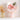 Elflos™ Bouquet - Carnation - 5 Flowers Set